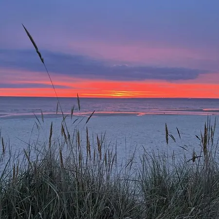 Bellevue Nr. 25 דירה שרבאוץ