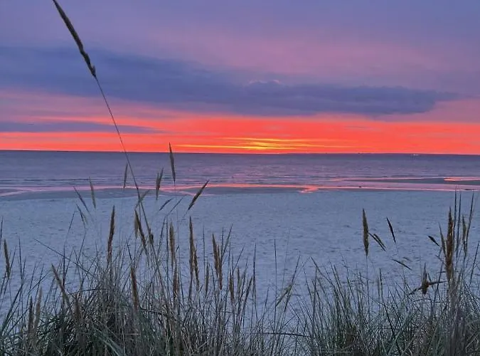 Bellevue Nr. 25 شقة شاربوتس